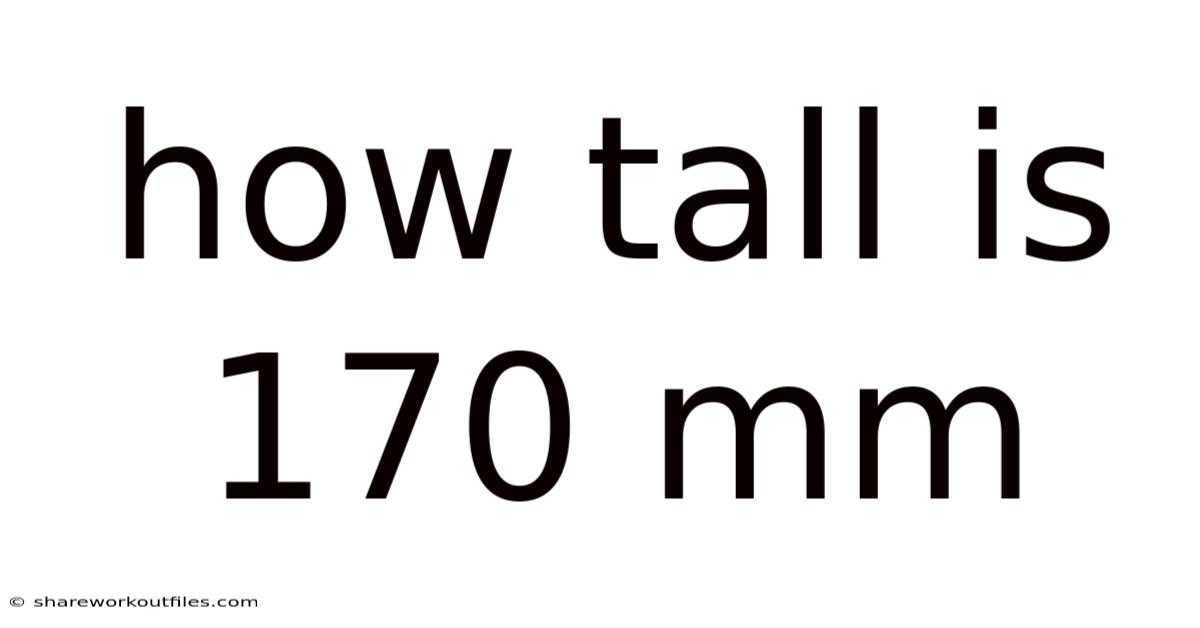 How Tall Is 170 Mm